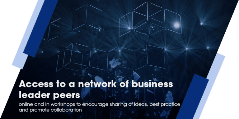 network of business leaders